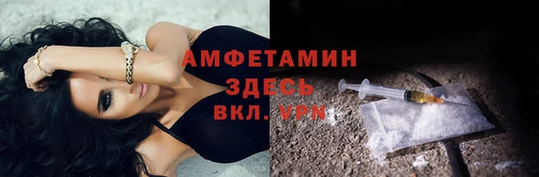 дмт Алексин