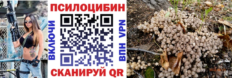 гидра вход  Курск  Галлюциногенные грибы Psilocybe 