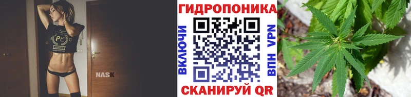 Канабис планчик Курск